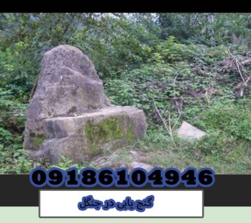 گنج یابی در جنگل