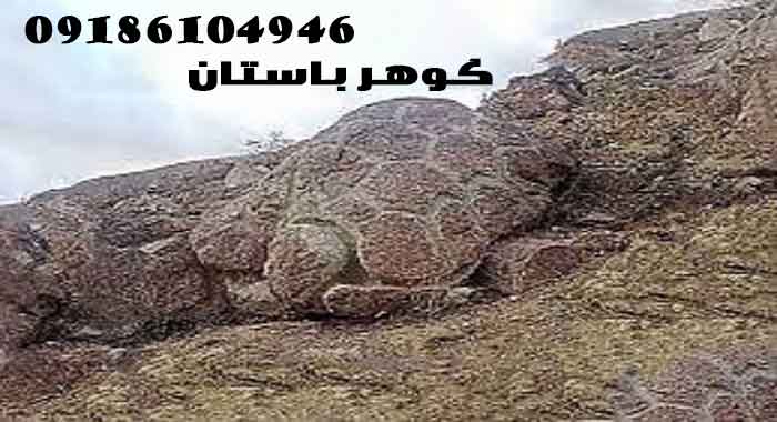 منطق یابی در شناخت علایم