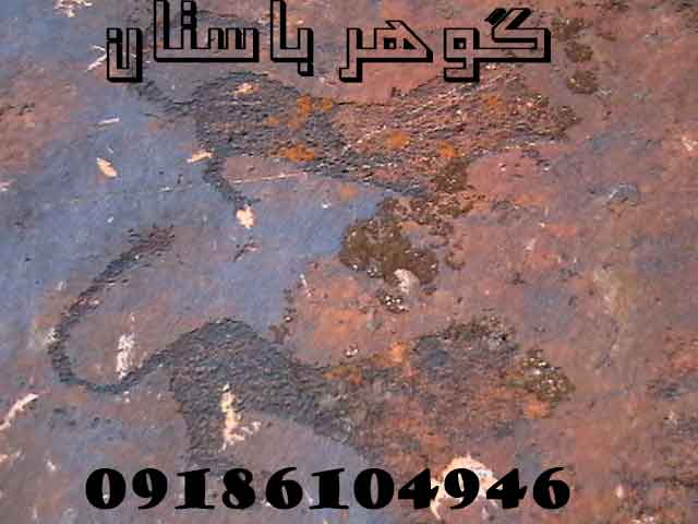 معنی و مفهوم نماد پلنگ در گنج یابی