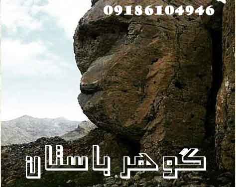 تفسیر نماد میمون در گنجیابی