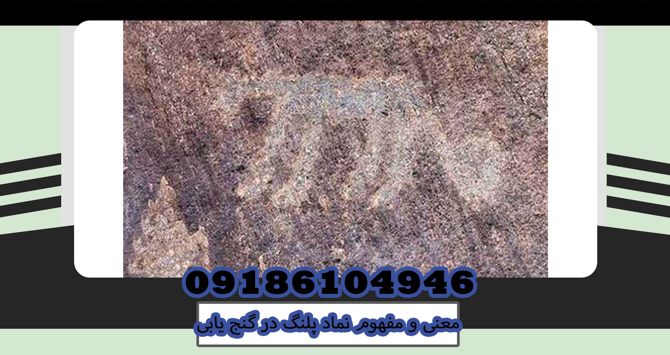 معنی و مفهوم نماد پلنگ در گنج یابی