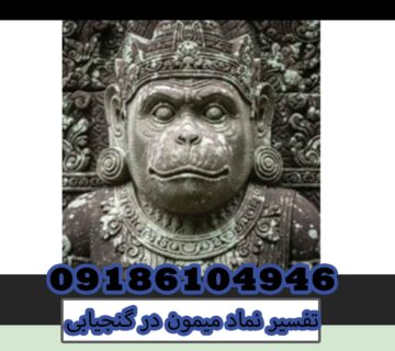 تفسیر نماد میمون در گنجیابی