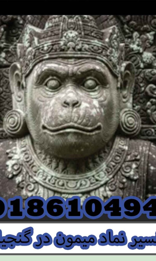 تفسیر نماد میمون در گنجیابی