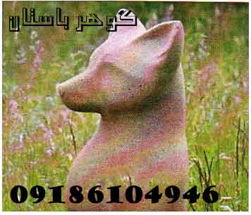 نشانه روباه در گنجیابی