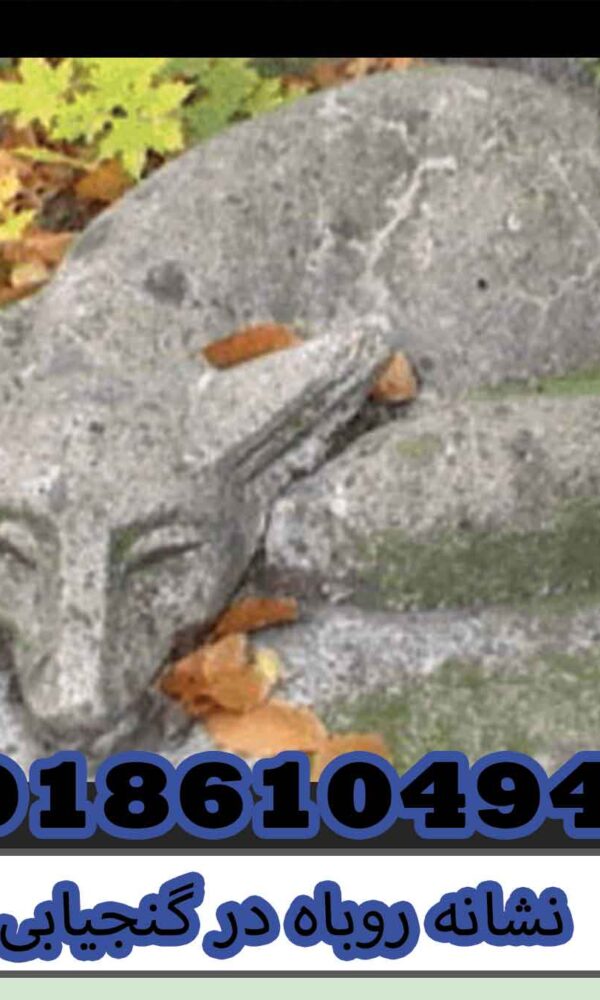 نشانه روباه در گنجیابی