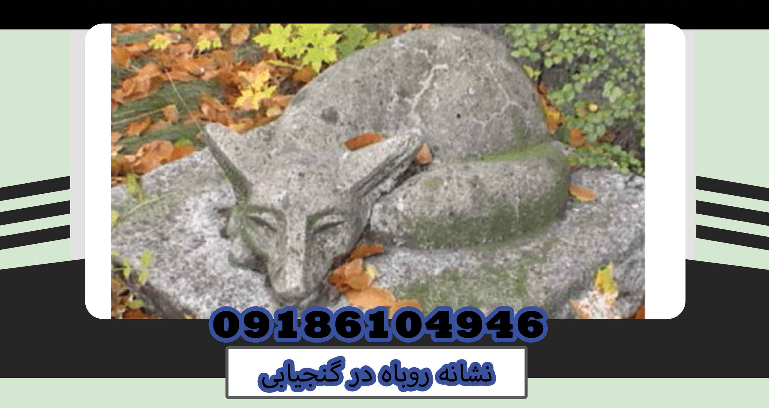 نشانه روباه در گنجیابی