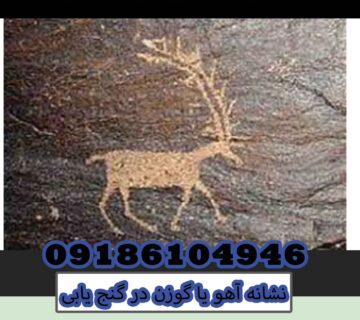 نشانه آهو یا گوزن در گنج یابی