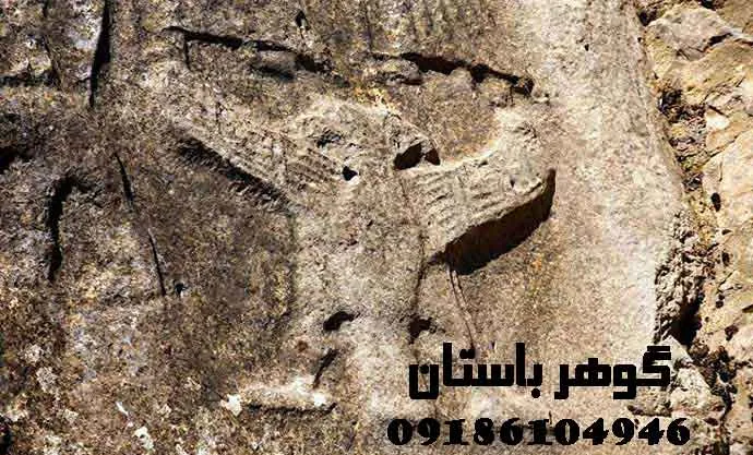 نماد پرنده در گنج یابی