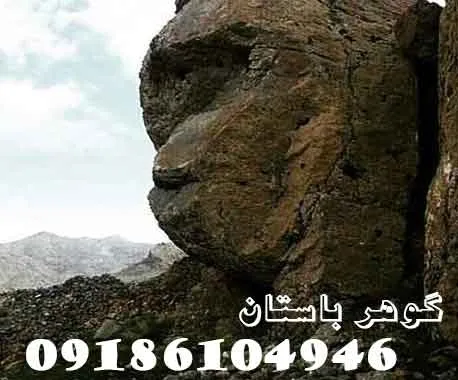 نشانه میمون در گنجیابی