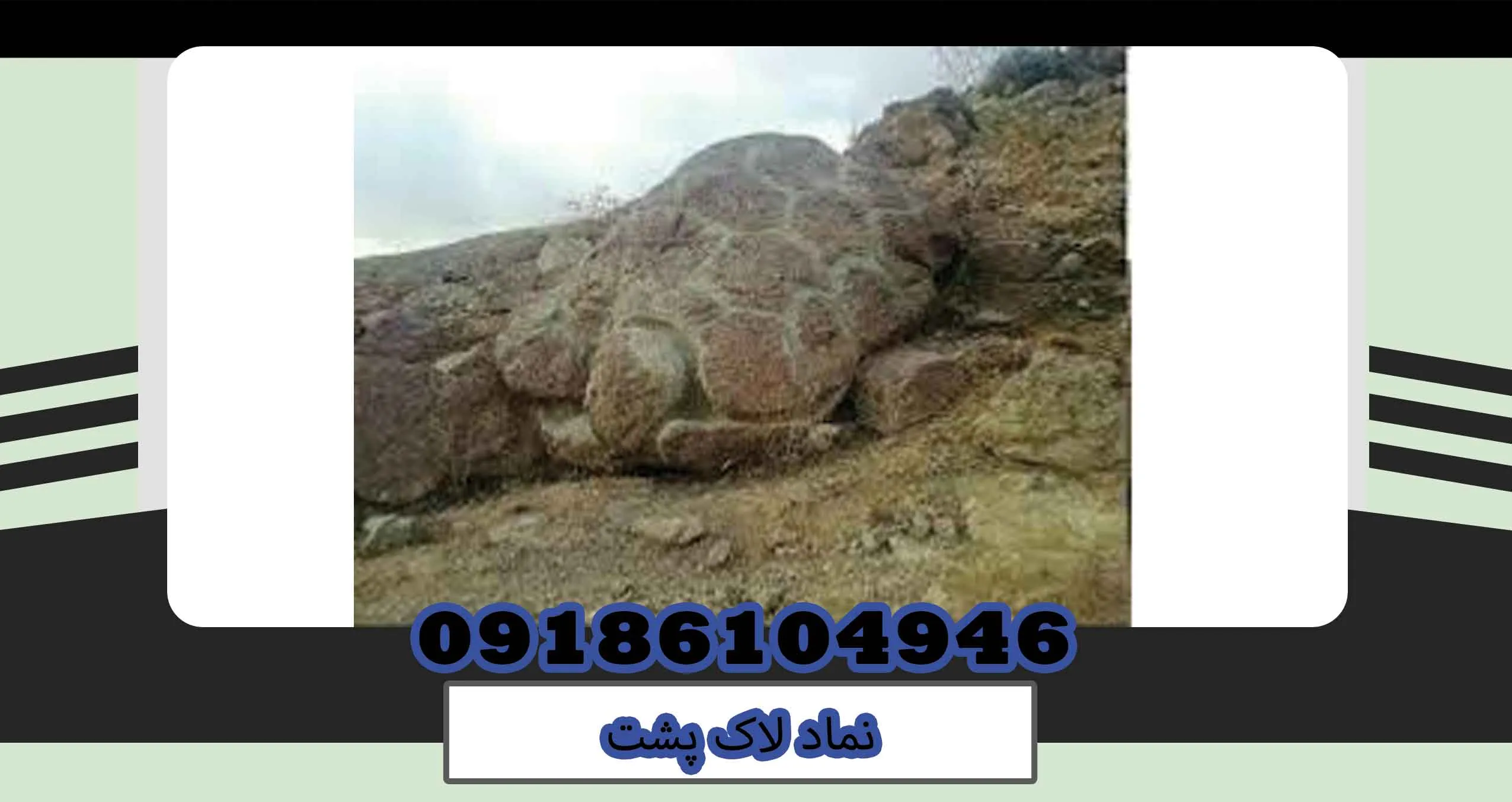 نماد لاک پشت