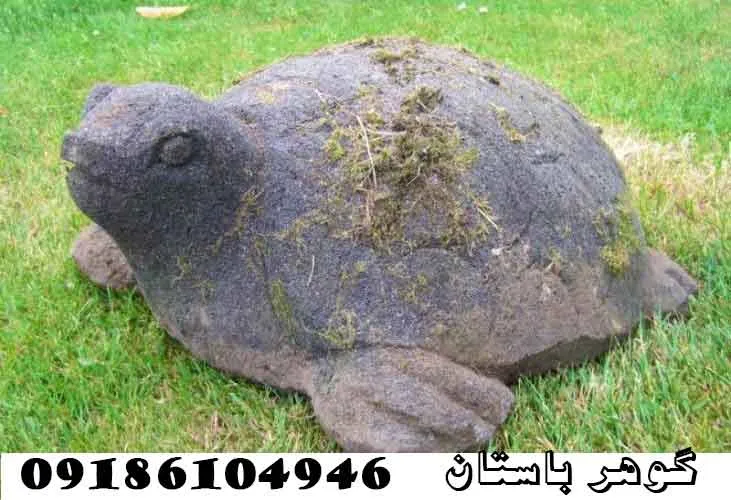 نماد لاک پشت