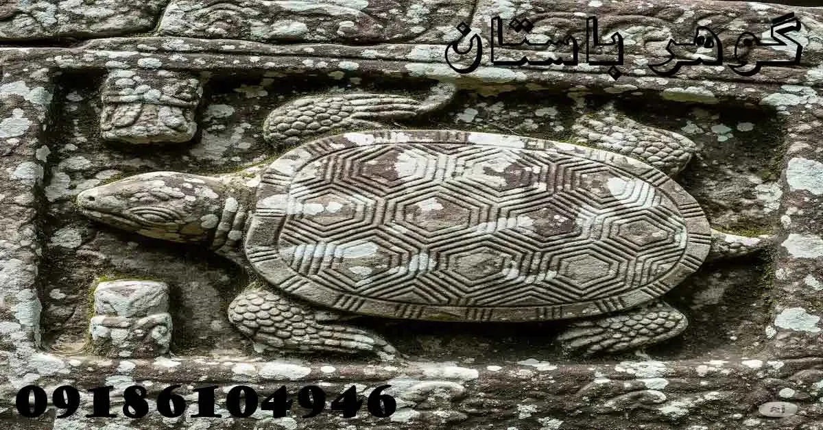 نماد لاک پشت