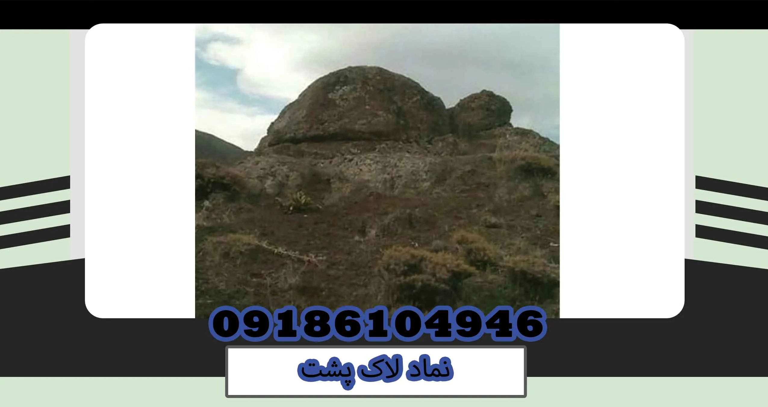 نماد لاک پشت