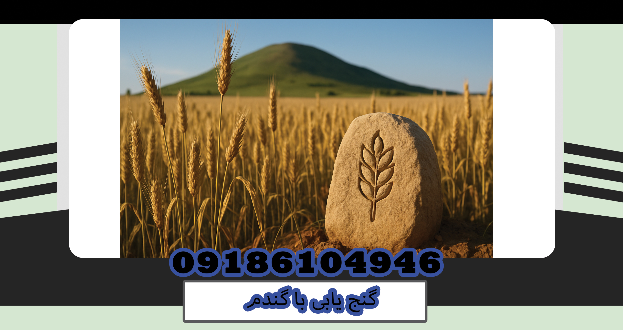 گنج یابی با گندم